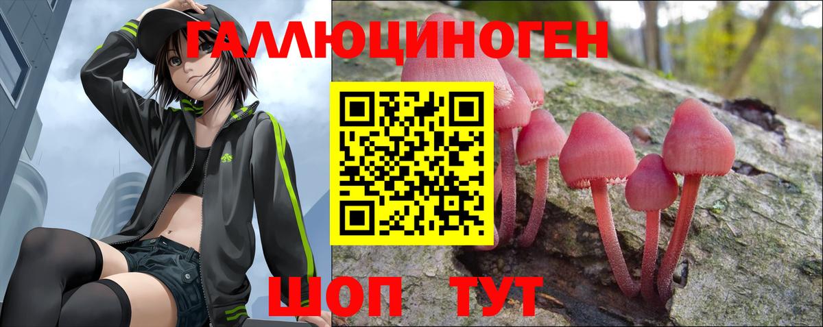 Псилоцибиновые грибы прущие грибы Удомля