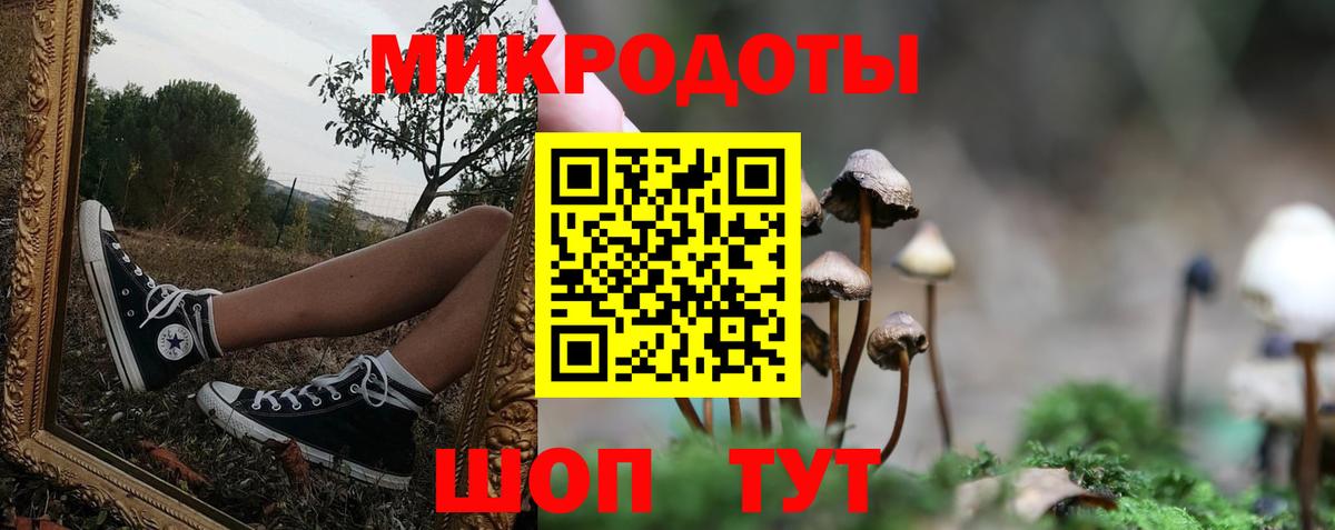 Удомля  сколько стоит  Вход с VPN  Псилоцибиновые грибы GOLDEN TEACHER 